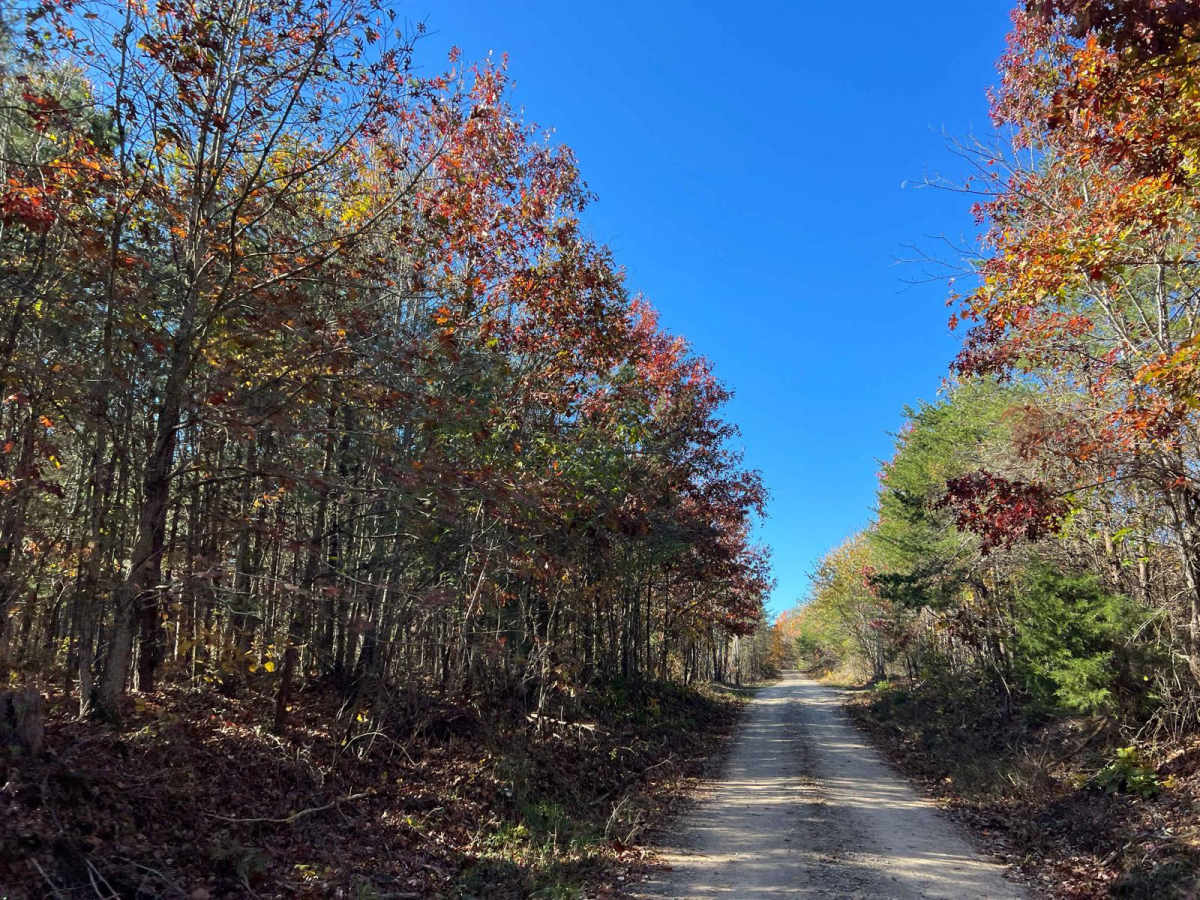 Beulah Road - FS 202 photo 6