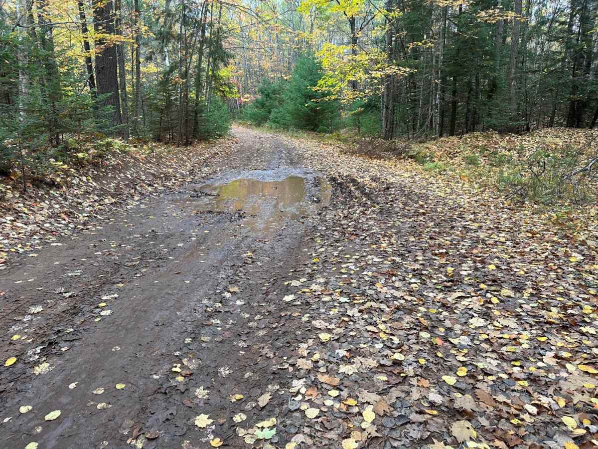 Hemmings Lake Road photo 6