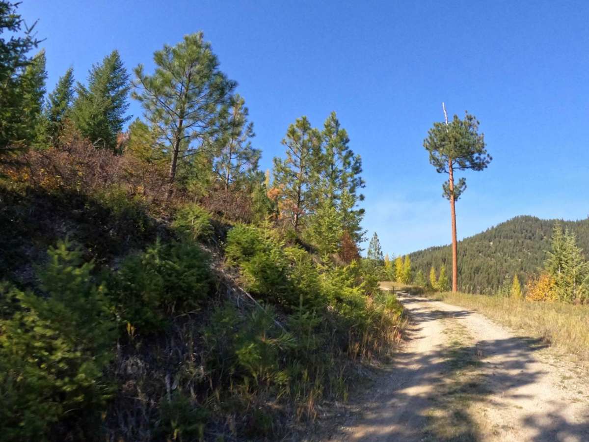 Sloway Gulch Road-Keystone Peak photo 2