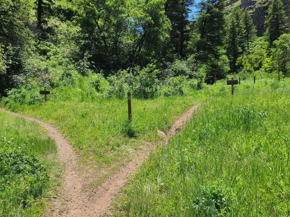 Steel Hollow photo 4
