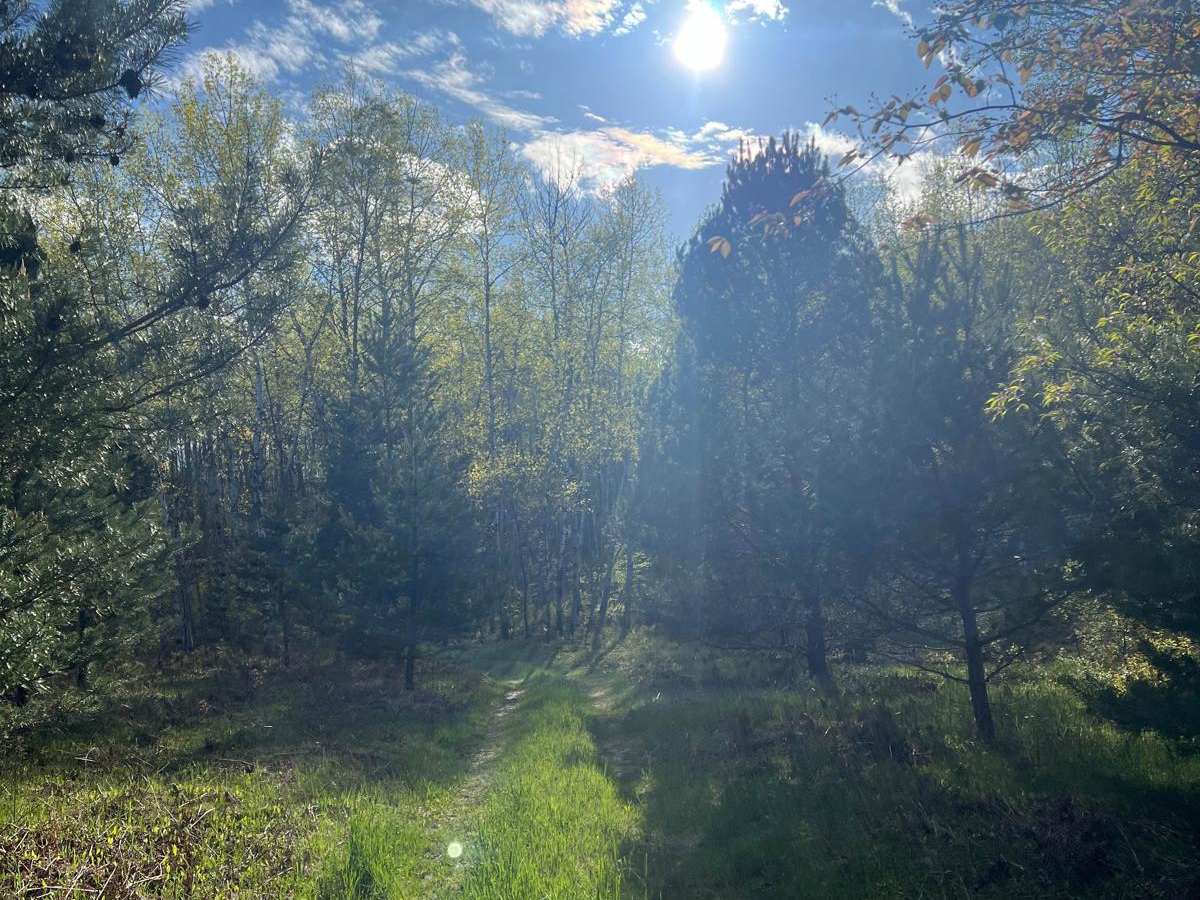 NBT Connector Trail photo 2