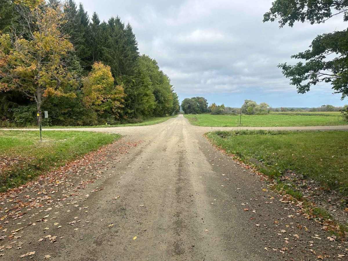 Bauchman Road photo 3