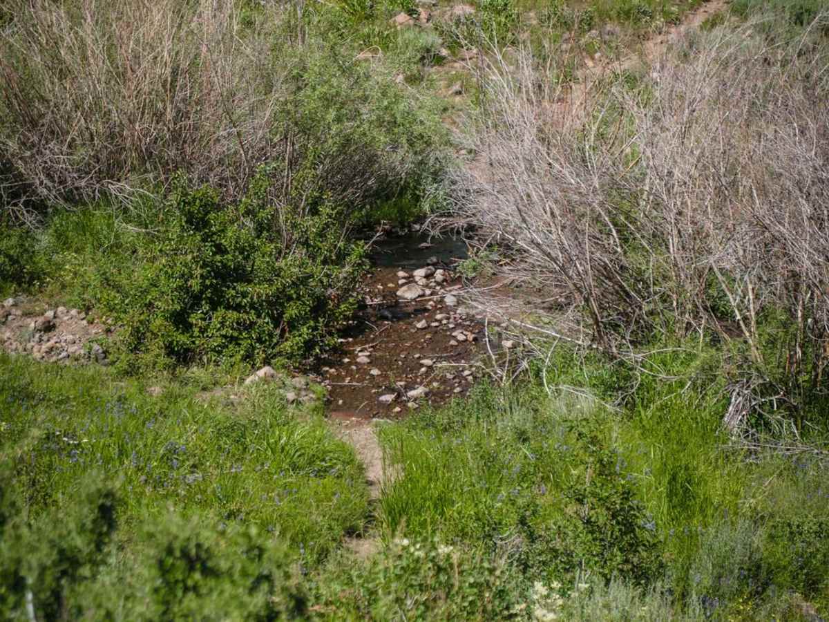Cow Creek Shortcut photo 2