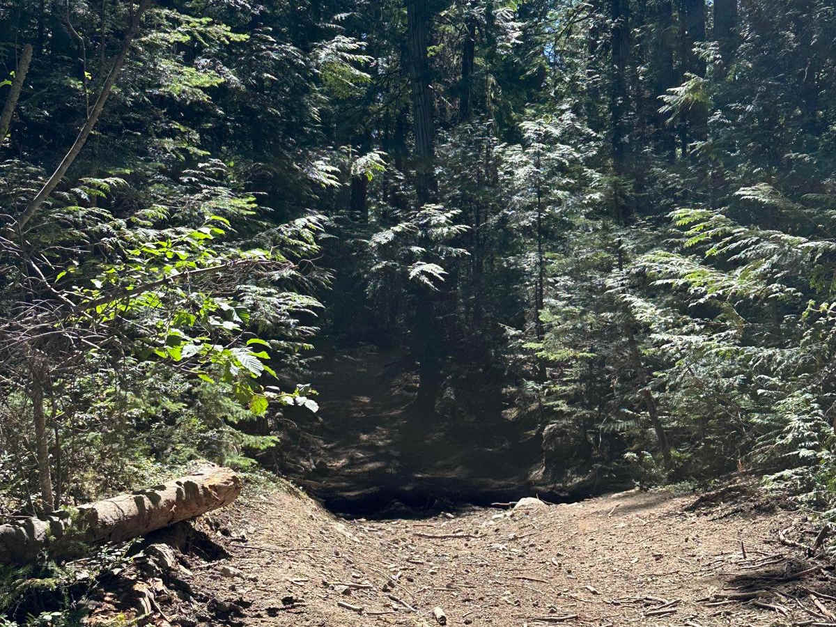 Dixon Climb photo 3
