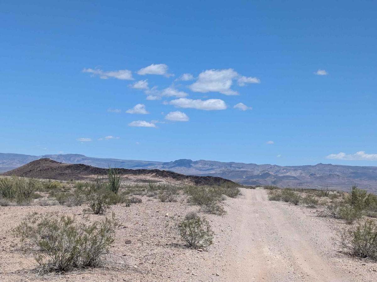 BLM 4341 photo 4