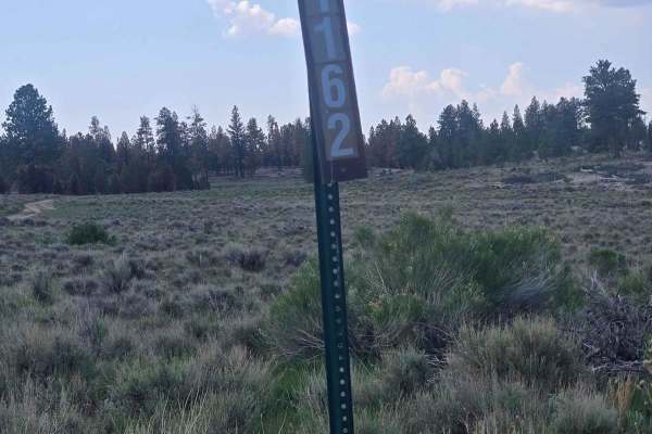 Tom's Best - Flake Swale Trail (FSR 1162)
