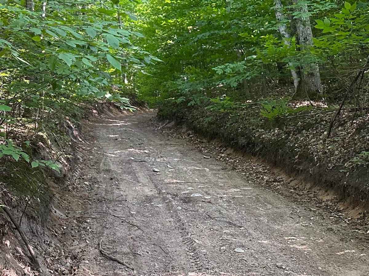 Fortine Road photo 5