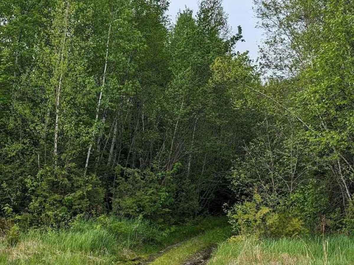 Dry and Wiry Spur trail photo