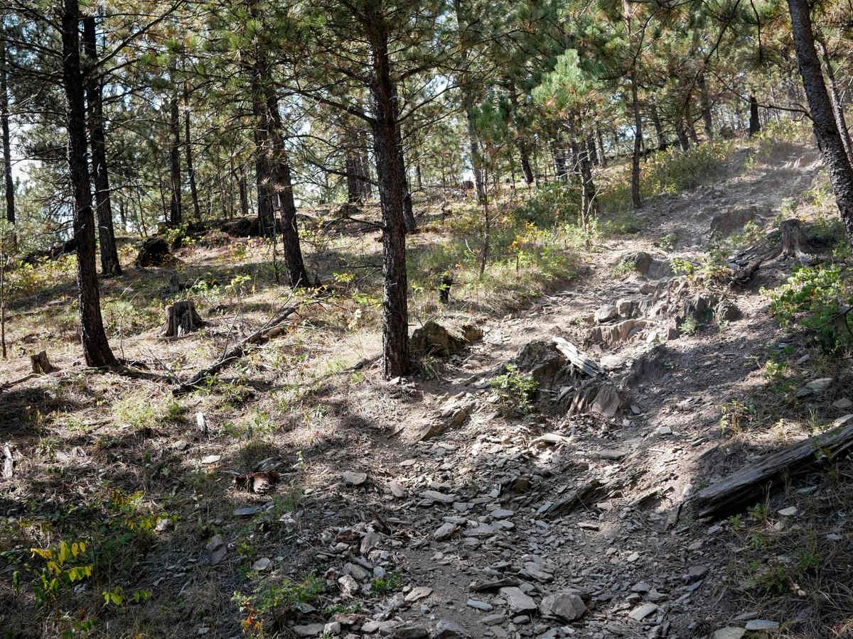 Bogus 6328 trail photo