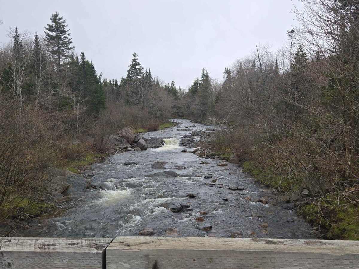 Paterson dam trail trail photo