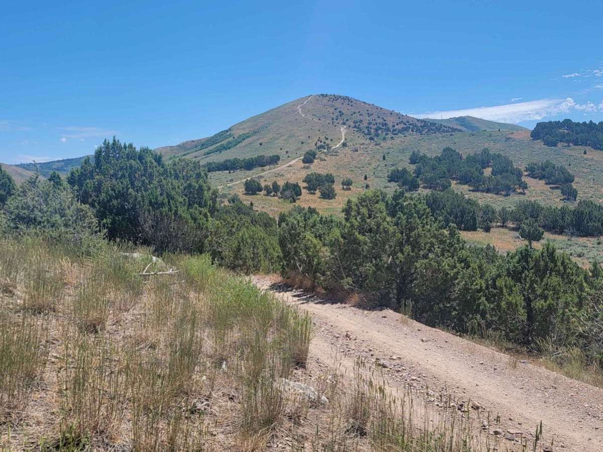 Route 352 to Chinese Peak photo 5