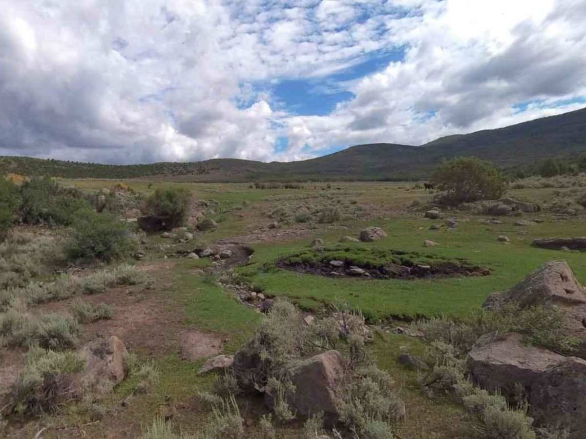 Rose Meadows- FS 40058 trail photo