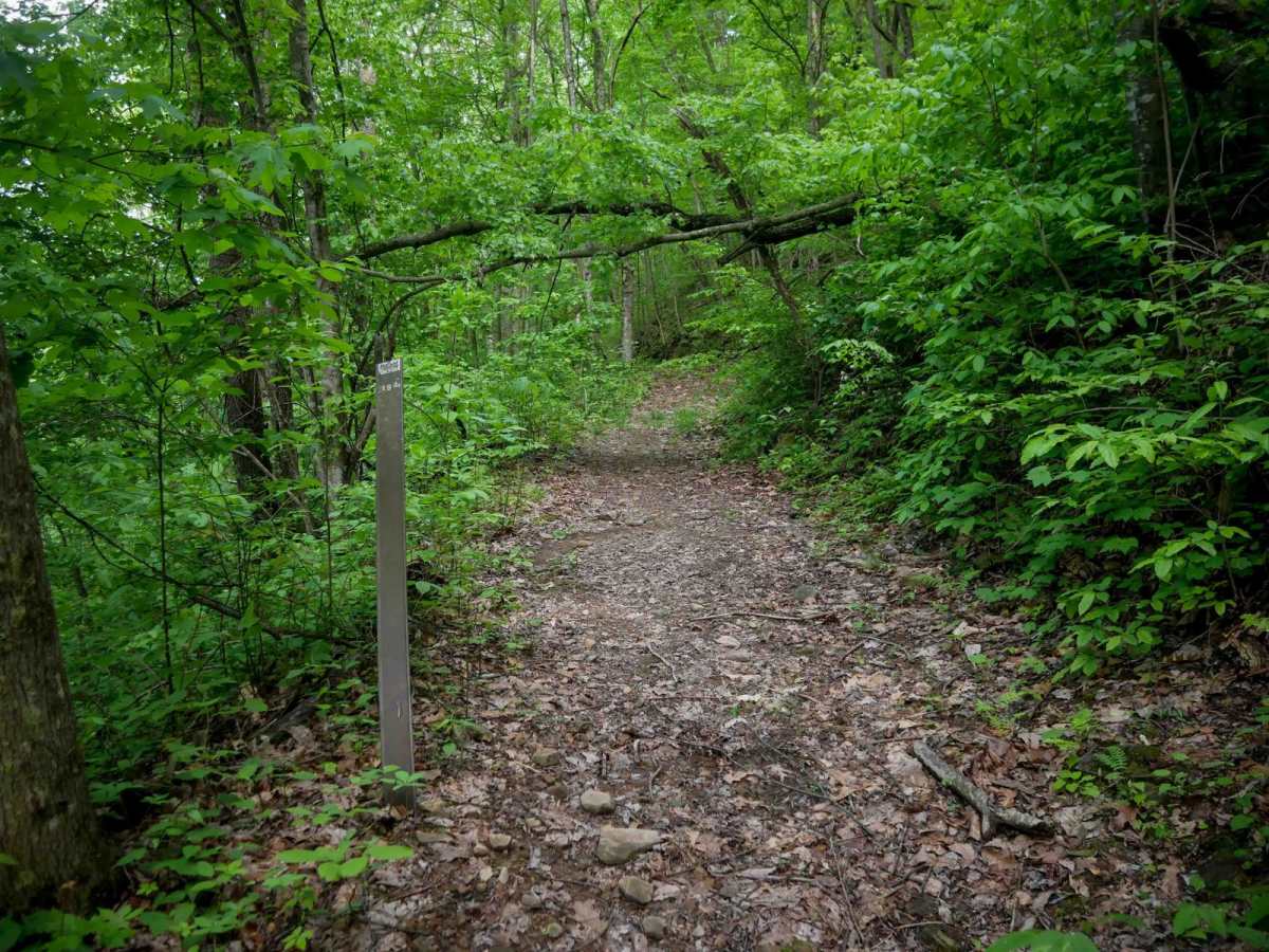 B194 trail photo