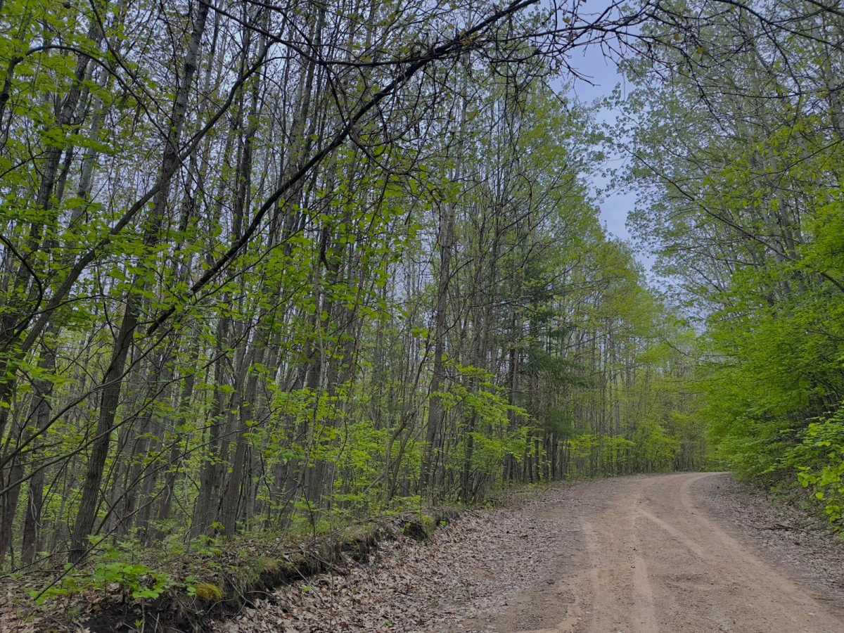 West Eden Mountain Road photo 5