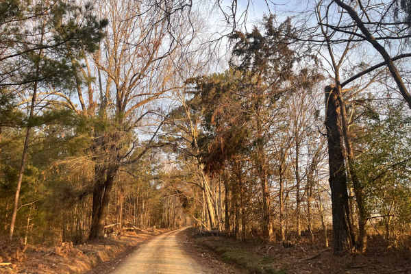 Ephrian Road