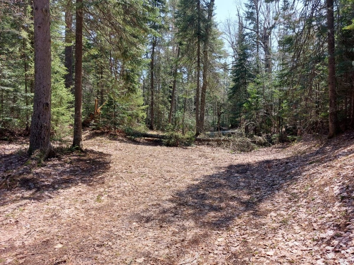 Schlatter Lake photo 6