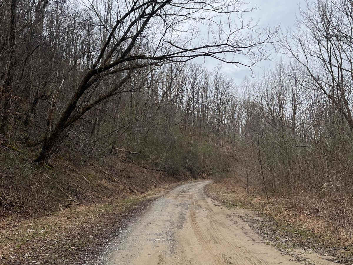Trail 15 photo 6