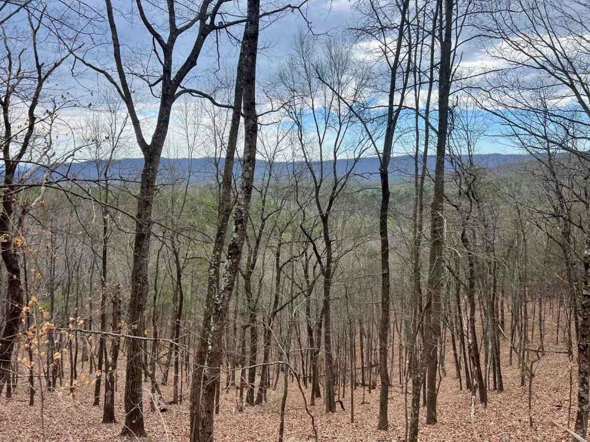 Gauley Ridge Forest Road trail photo