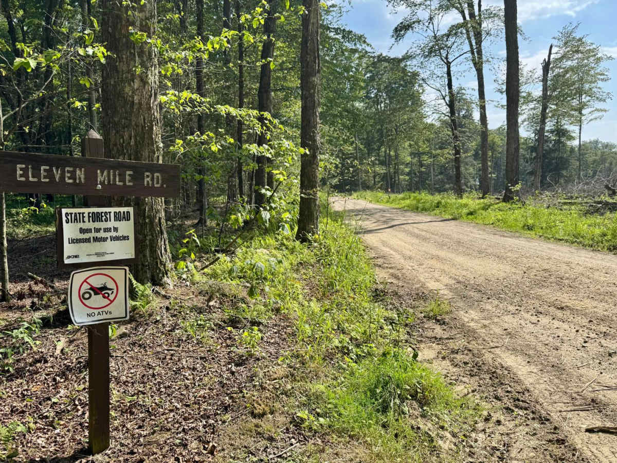 Elevenmile Road photo 3