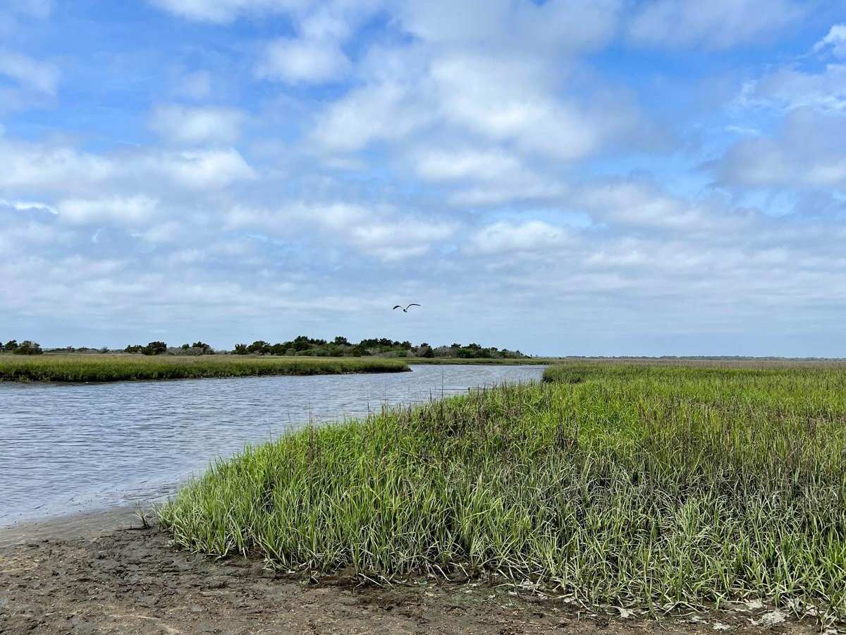 Fort Fisher State Recreation Area 4x4 Beach photo 6