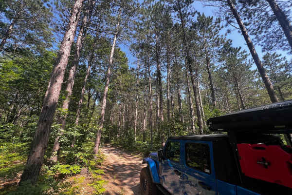 Pinewood Connector Trail