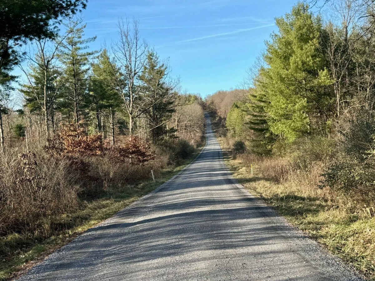 Beech Creek Road photo 4