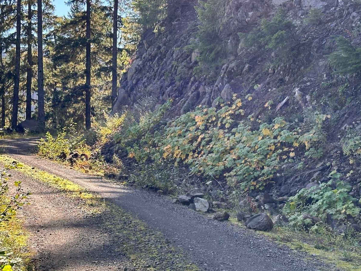 George Creek photo 6