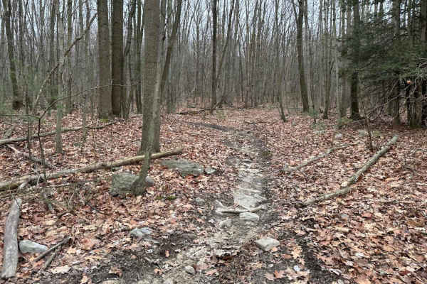 Tower City Single Track 21
