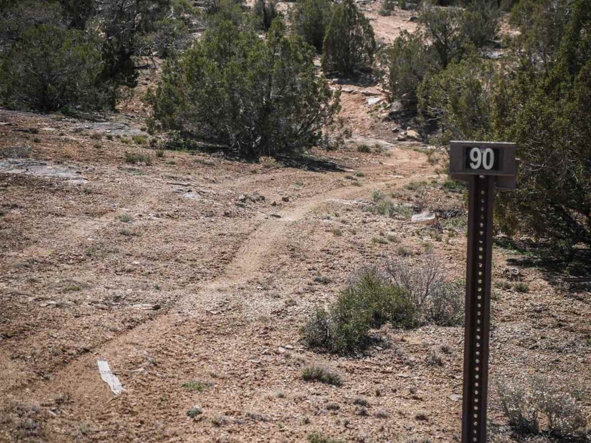 BLM Route 90 trail photo