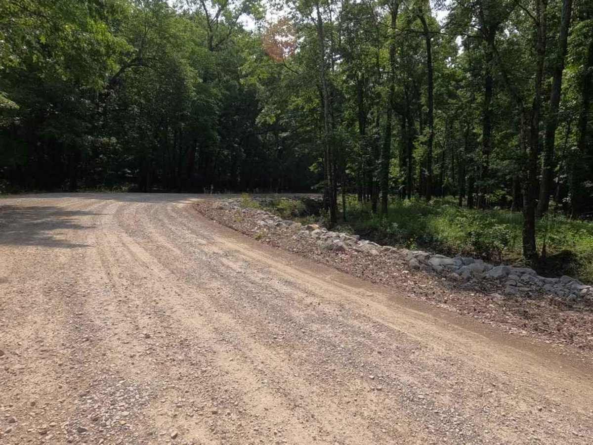 Rainey Brake WMA Road photo 4