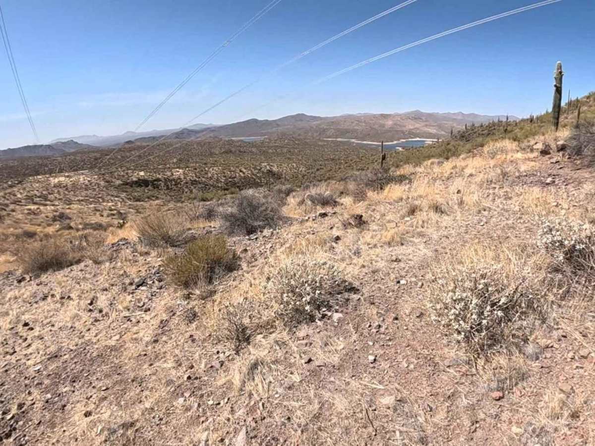 Verde Sunflower trail photo