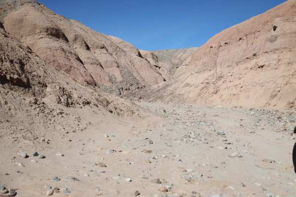Kayla's Mountain Trail