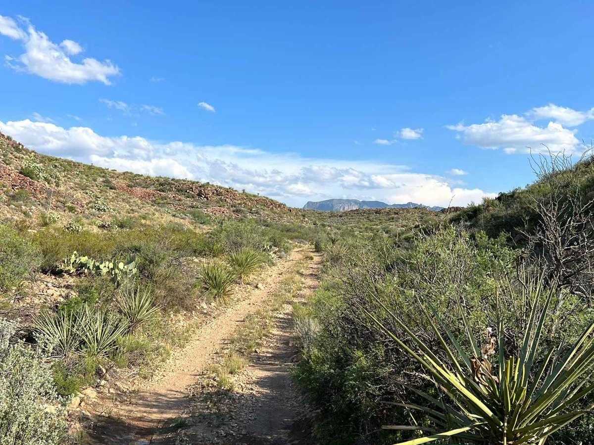 Paint Gap Road trail photo