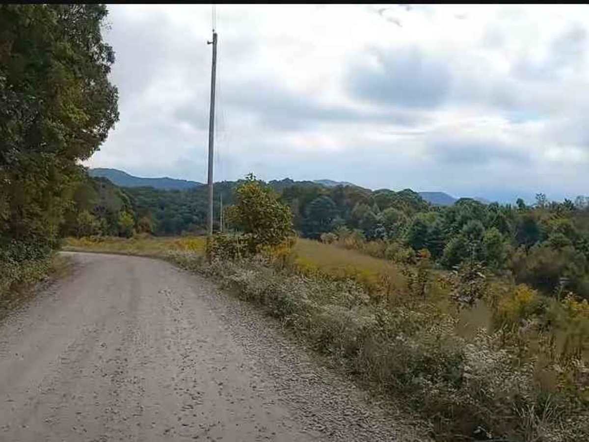 Max Patch Road photo 5