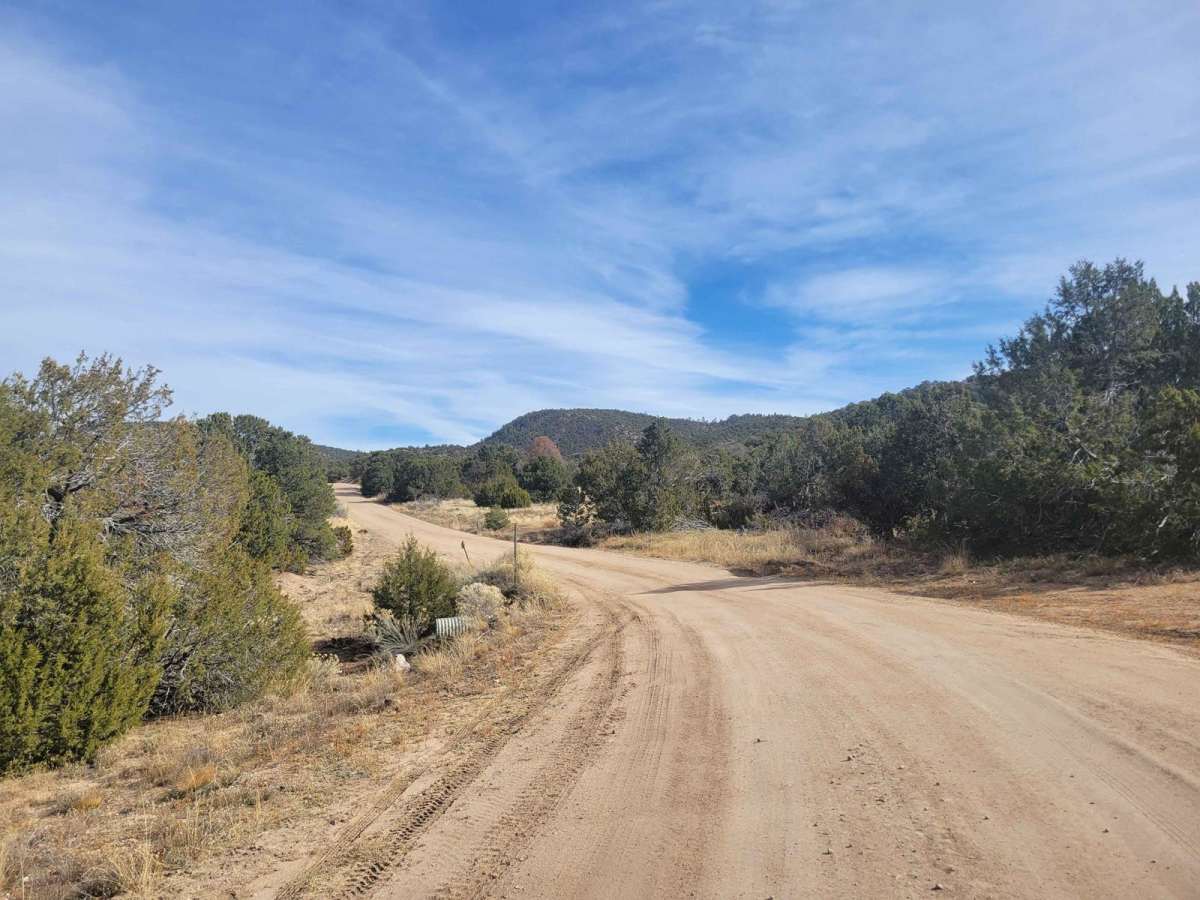 Borrego Mesa Trail photo 2