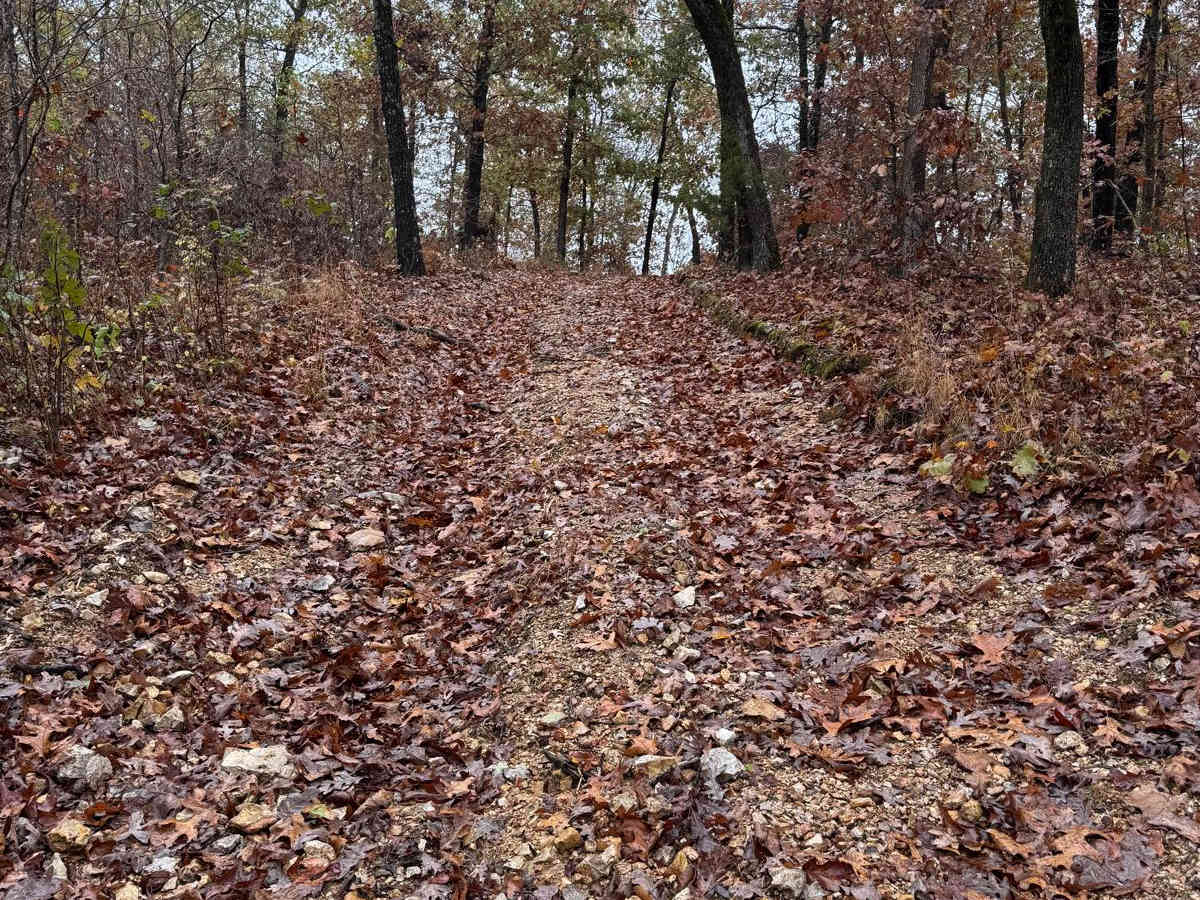Marble Hill 91 photo 3