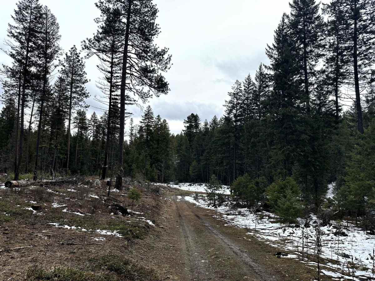 FSR 120 photo 2