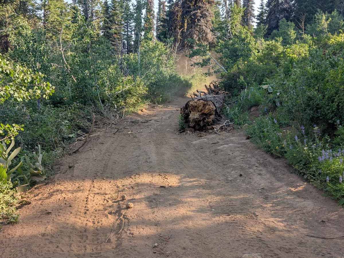 Spur 374BD trail photo