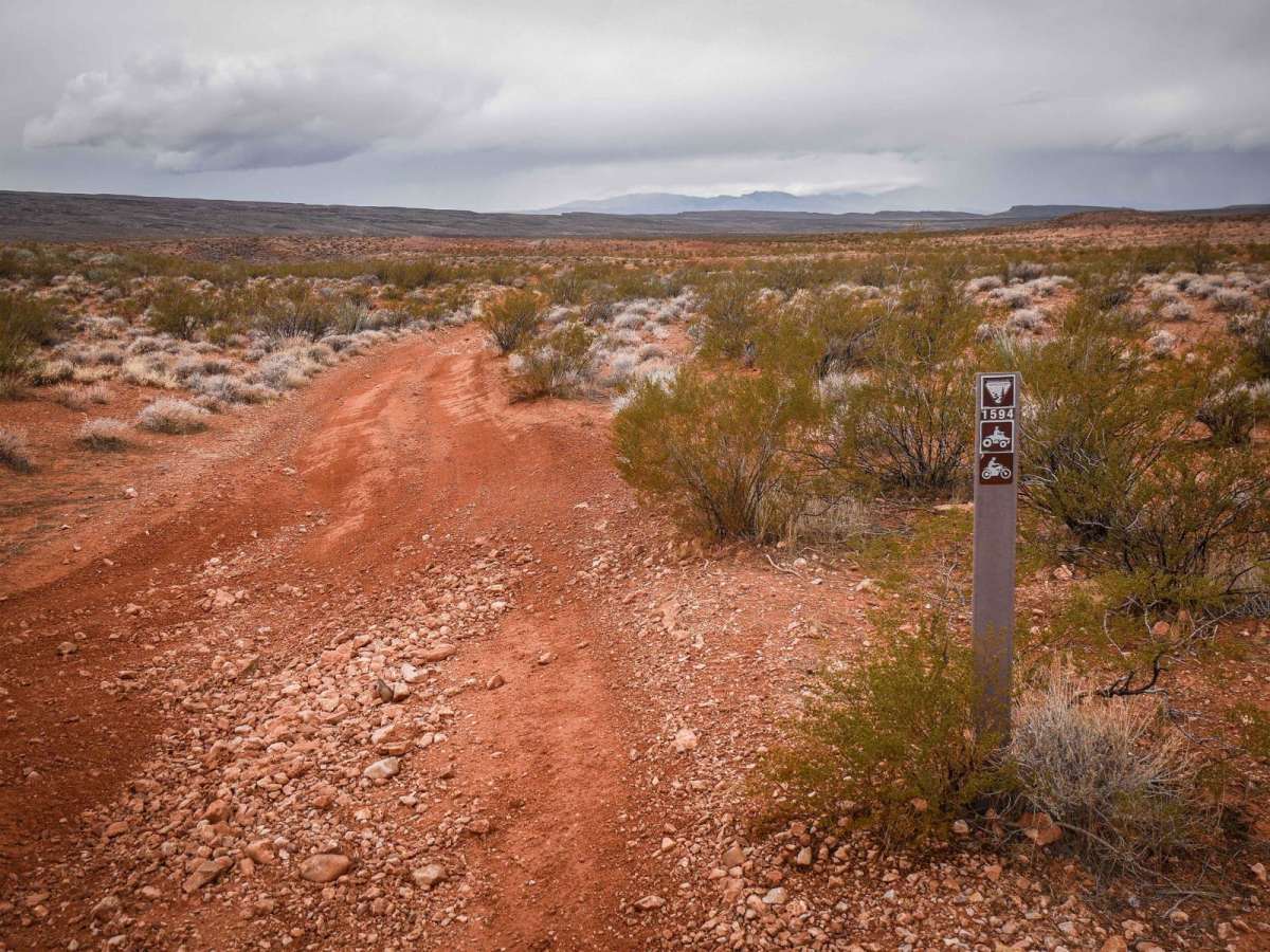 1594 ATV trail photo