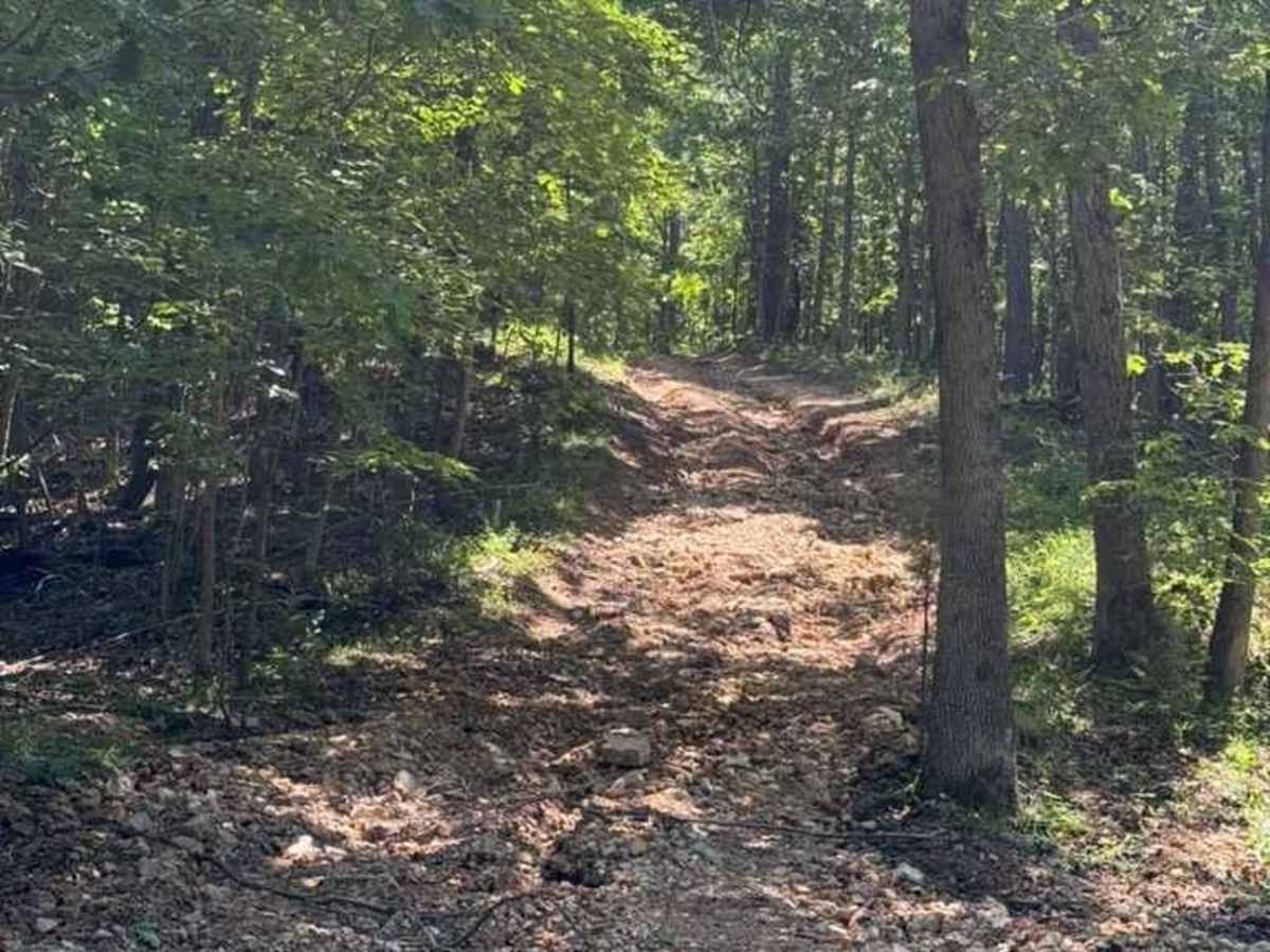 Blake's Trail trail photo