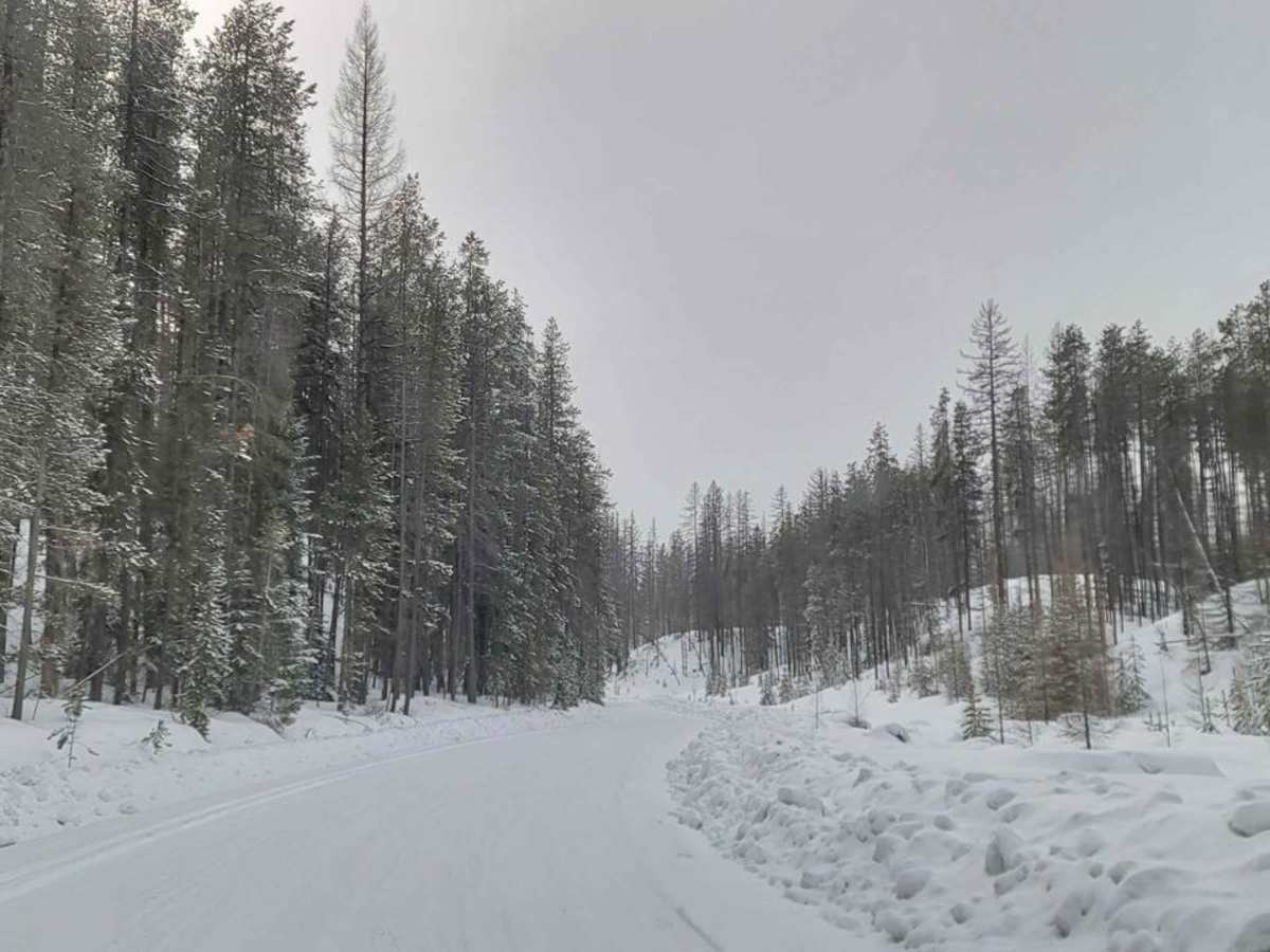 Cranbrook To Koocanusa photo 4