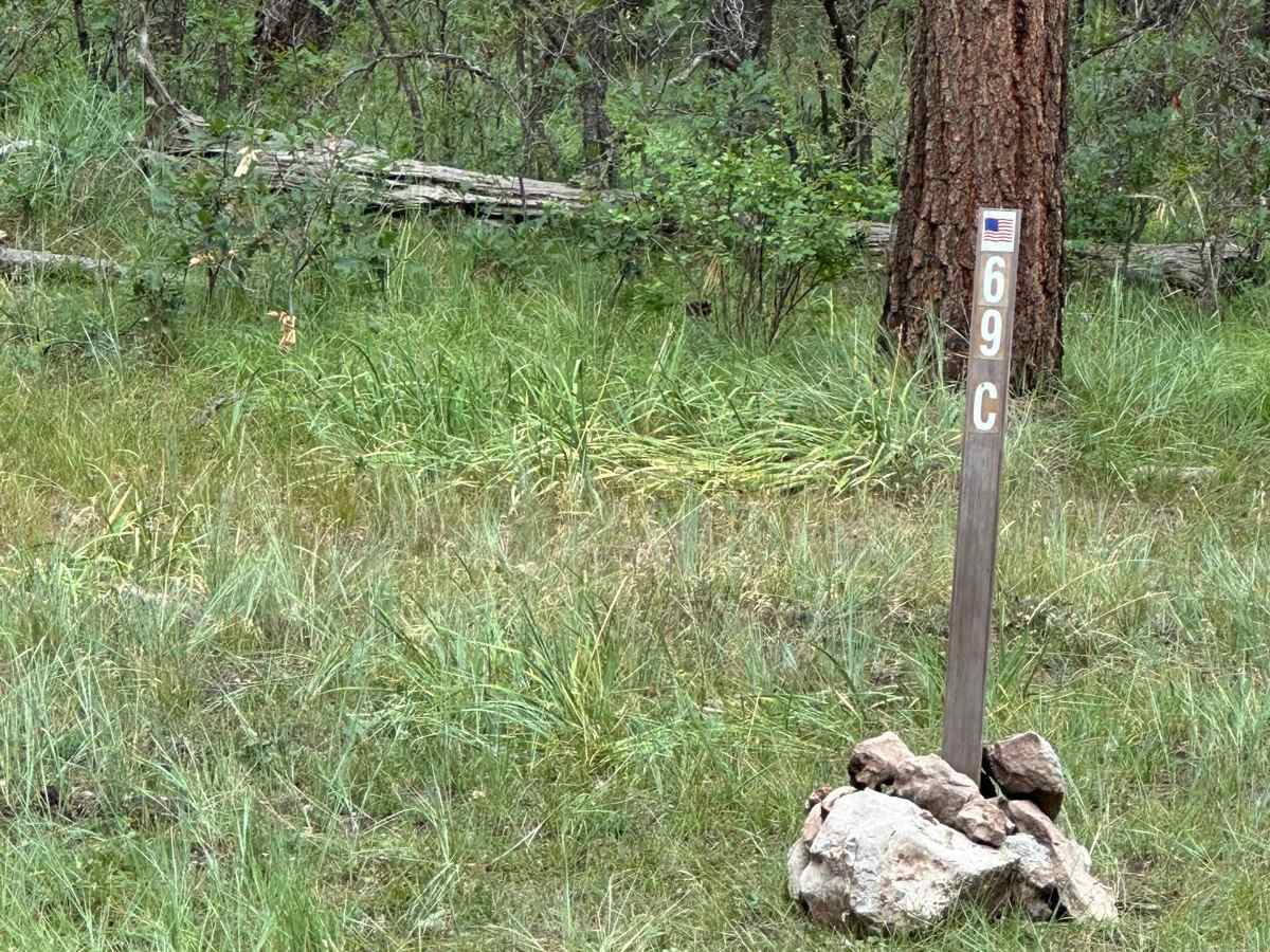 Mudhole Mania - FR 69C trail photo