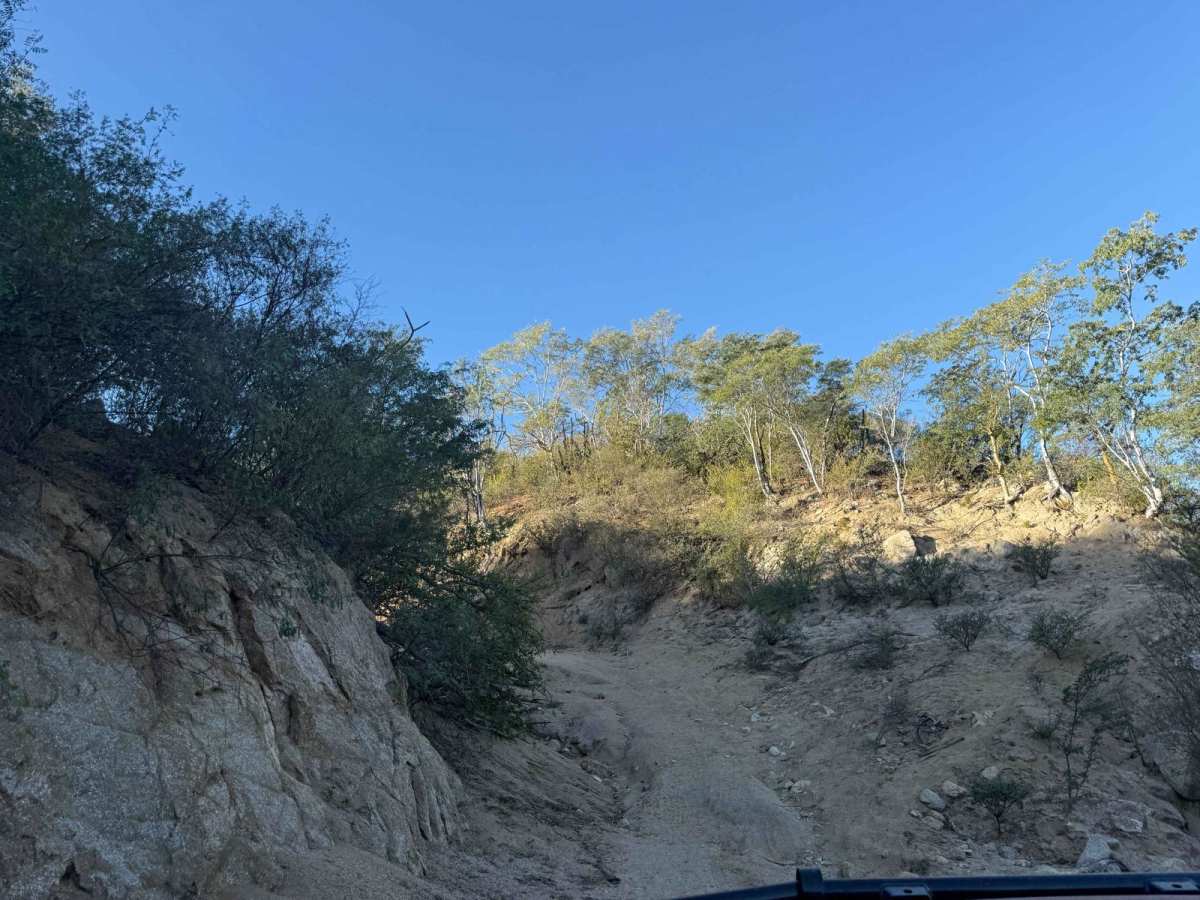 Camino de Lavado Empinado trail photo