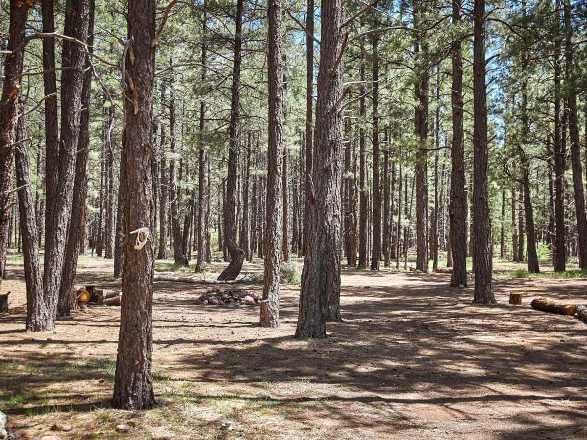 FR 122 photo 2