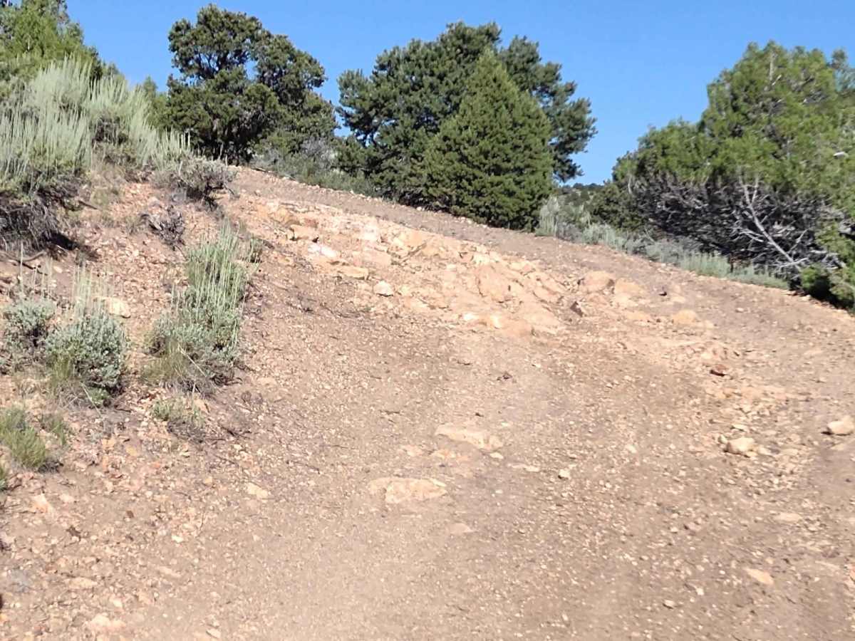 County Road 1345 photo 6