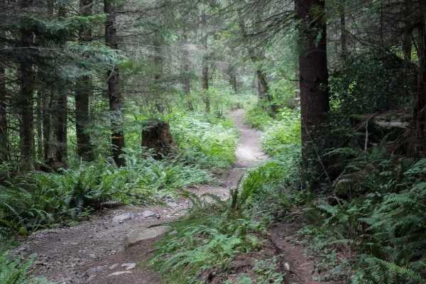 Doug's Loop