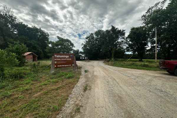Unit Management Road