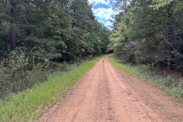 Bear Hollow - Trail 1627