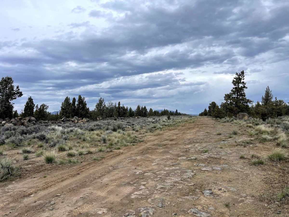 Dirt Road Dash photo 6