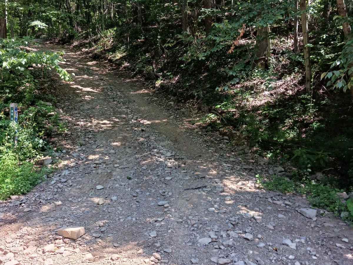 Hawk Lane - Rock Run Recreation Area photo 2